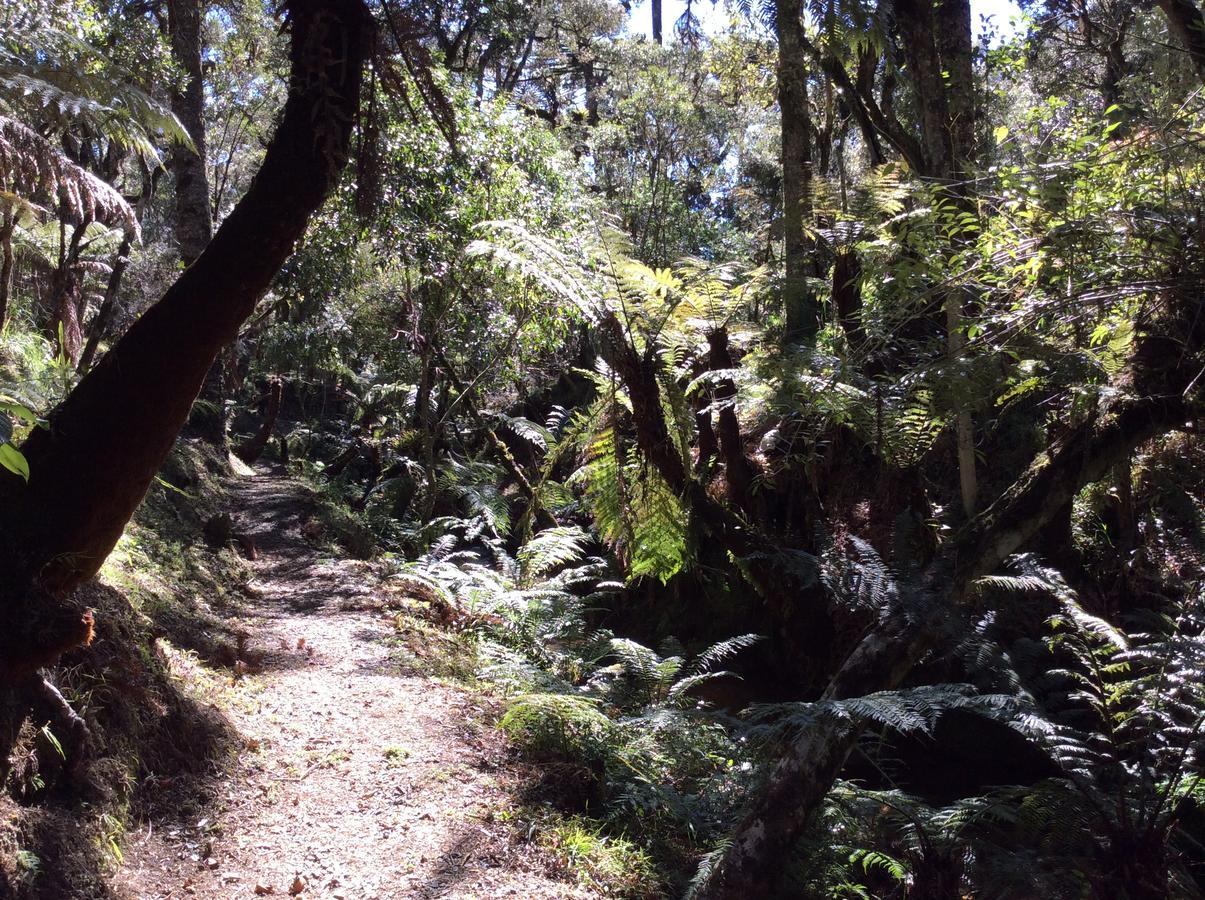 Chales Do Ferradura Campos do Jordão Εξωτερικό φωτογραφία