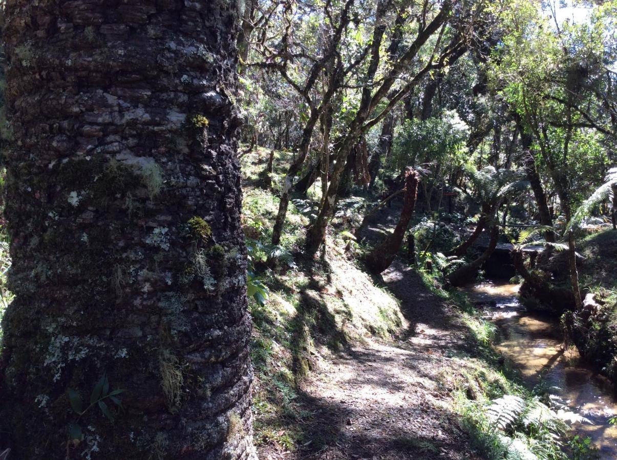 Chales Do Ferradura Campos do Jordão Εξωτερικό φωτογραφία
